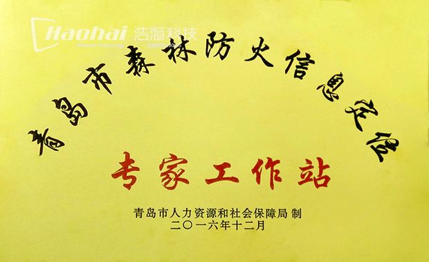 青岛市森林防火信息定位专家工作站-修改-620